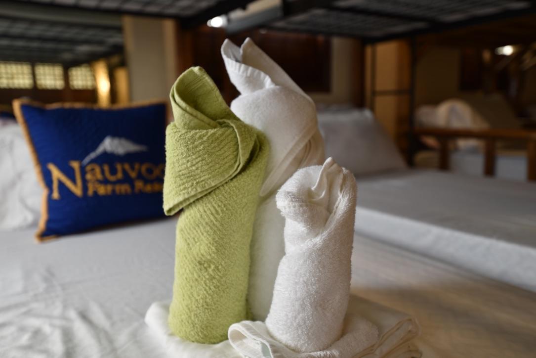 Nauvoo Farm Resort Magalang Zewnętrze zdjęcie